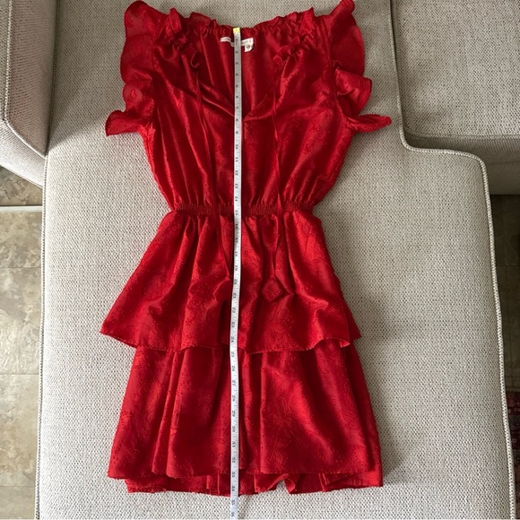 Chelsea & Violet Sleeveless Red Roses Ruffle Jardin Chinoiserie Dress Size S - Picture 12 of 12